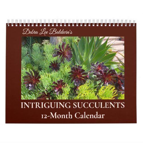 Intriguing Succulents by Debra Lee Baldwin 12_mo Calendar