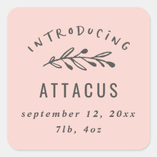 Introducing branch birth announcement square sticker