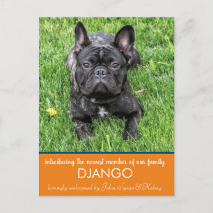 "Introducing" our New Dog Announcement Postcard