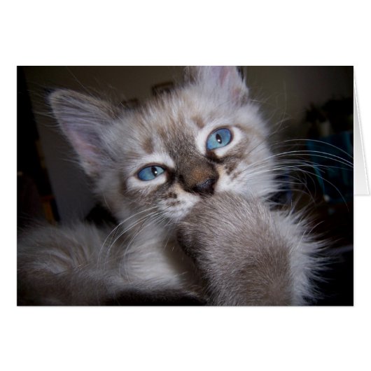 Introspective Thinker (Front Horizontal)