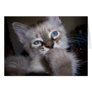 Introspective Thinker Cards