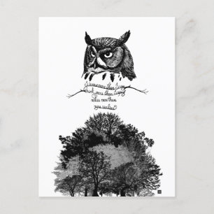 Introvert Empath Owl wisdom illustrated ink quote Postcard