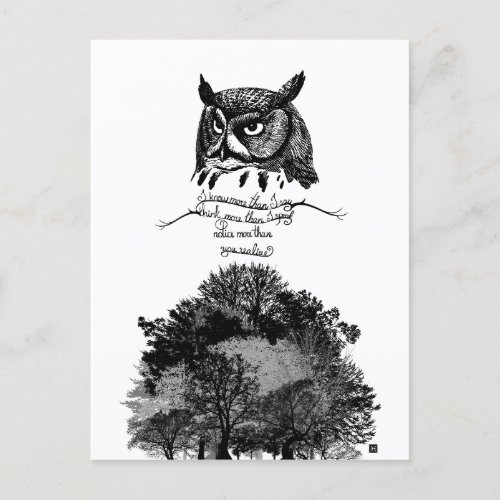 Introvert Empath Owl wisdom illustrated ink quote  Postcard