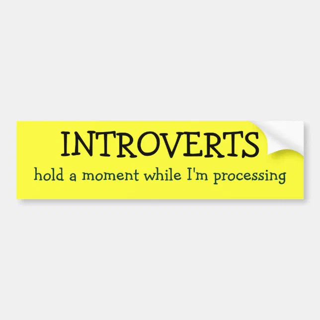 INTROVERTS, hold a moment while I'm processing Bumper Sticker | Zazzle