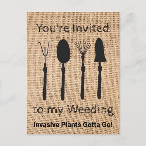 Invasive Plants Postcard