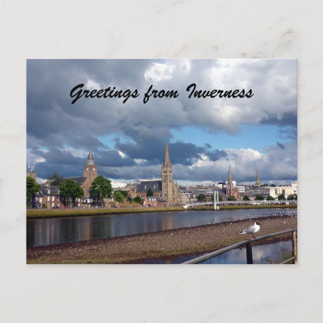 inverness greeting gull postcard (Front)