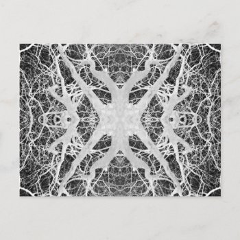 Inverse Treetop Spider's Web Postcard by StriveDesigns at Zazzle