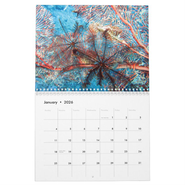 Invertebrates of Fiji 2015 Calender Calendar (Jan 2026)