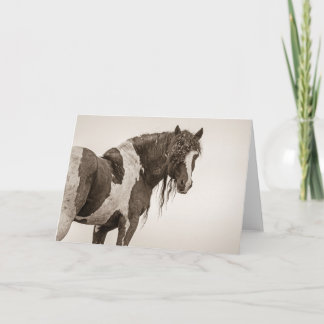 "Invincible" Note Card