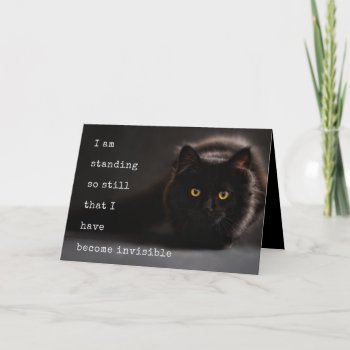 Invisible Black Cat Annonymous Birthday Wishes Card by PartyPrep at Zazzle
