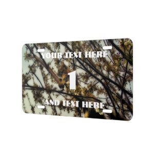 Invisible License Plate