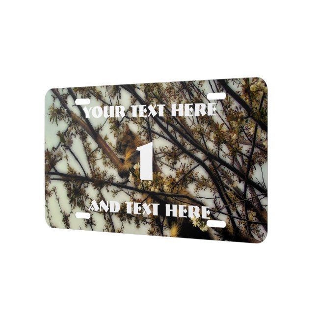 Invisible License Plate (Left)