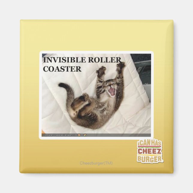 Invisible Roller Coaster Magnet (Front)