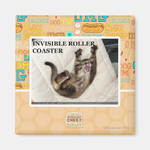 Invisible Roller Coaster Magnet