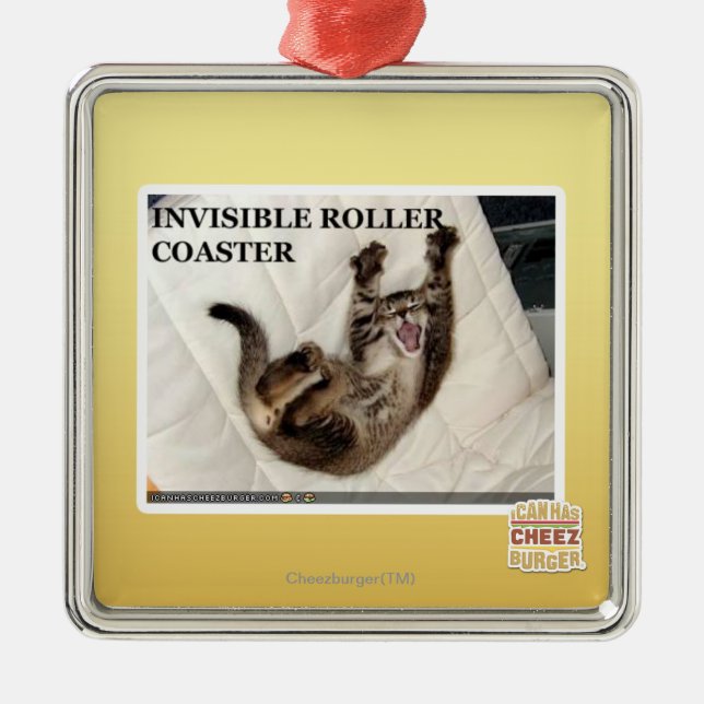 Invisible Roller Coaster Metal Ornament (Front)