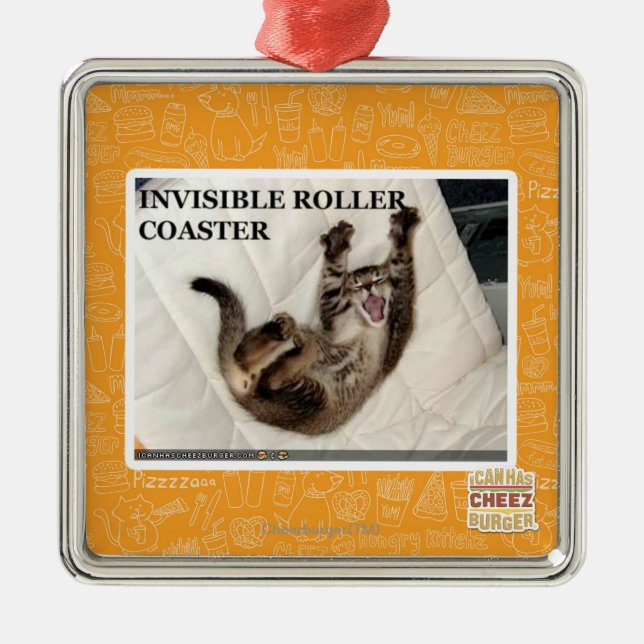 Invisible Roller Coaster Metal Ornament (Front)