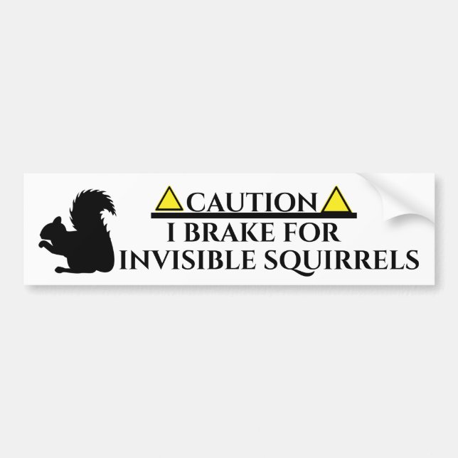 Invisible Squirrels Bumper Sticker (Front)