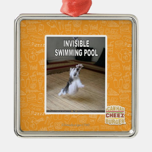 Invisible Swimming Pool Metal Ornament (Front)