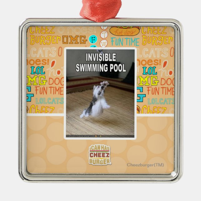 Invisible Swimming Pool Metal Ornament (Front)