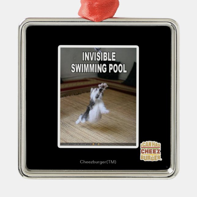 Invisible Swimming Pool Metal Ornament (Front)
