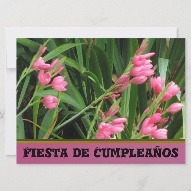 Invitación - Fiesta de Cumpleaños Invitation (Front)