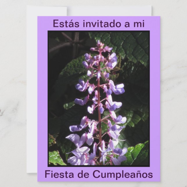 Invitación - Fiesta de Cumpleaños - Púrpura Invitation (Front)