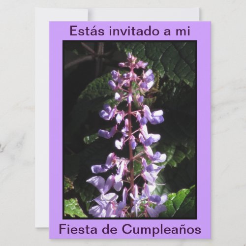 Invitacin _ Fiesta de Cumpleaos _ Prpura Invitation