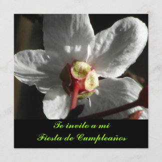 Invitación - Te invito a mi Fiesta de Cumpleaños Invitation