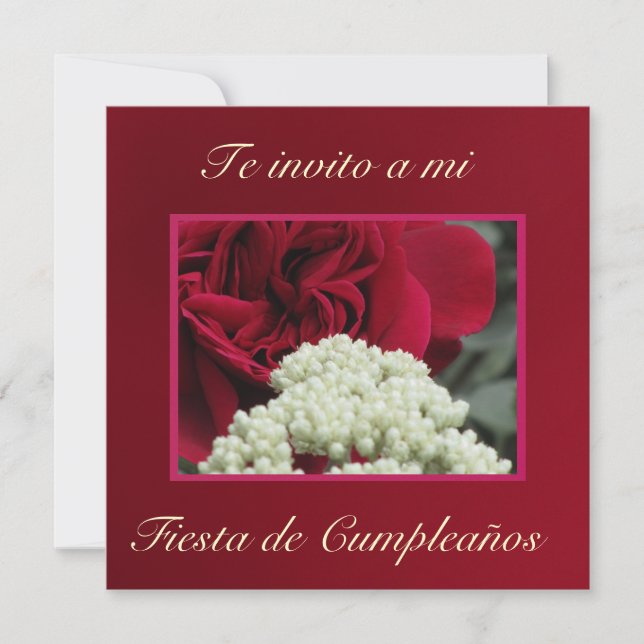 Invitación  - Te invito a mi Fiesta de Cumpleaños Invitation (Front)