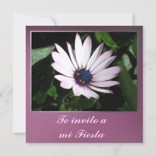 Invitación - Te invito a mi Fiesta - Margarita Personalized Invite