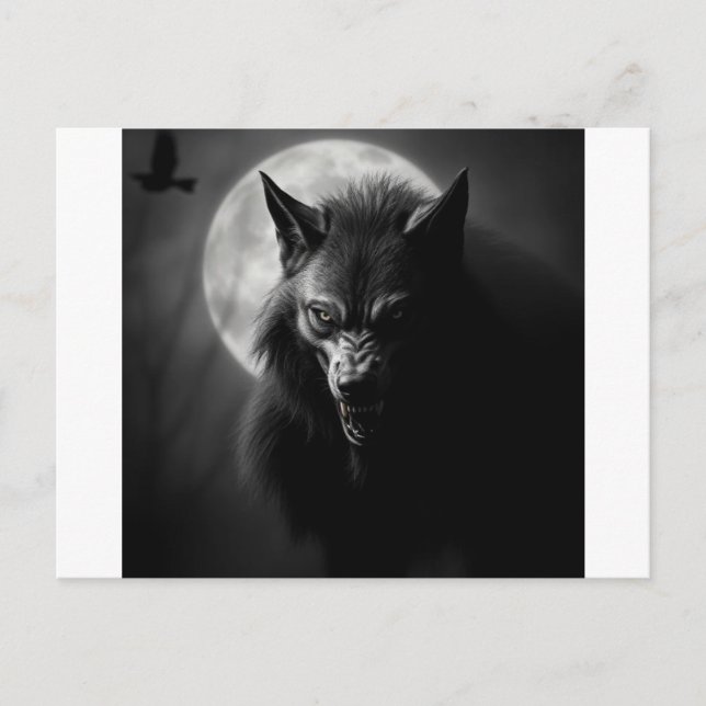 Invitation and announcement  (Front)