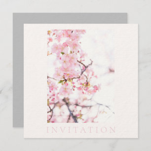 INVITATION : CHERRY BLOSSOM BRANCH
