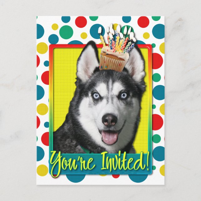 Invitation Cupcake - Siberian Husky Postcard (Front)
