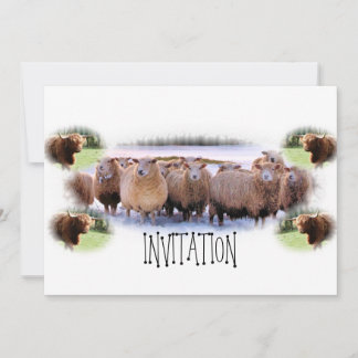 Invitation for BBQ or Dinner Party