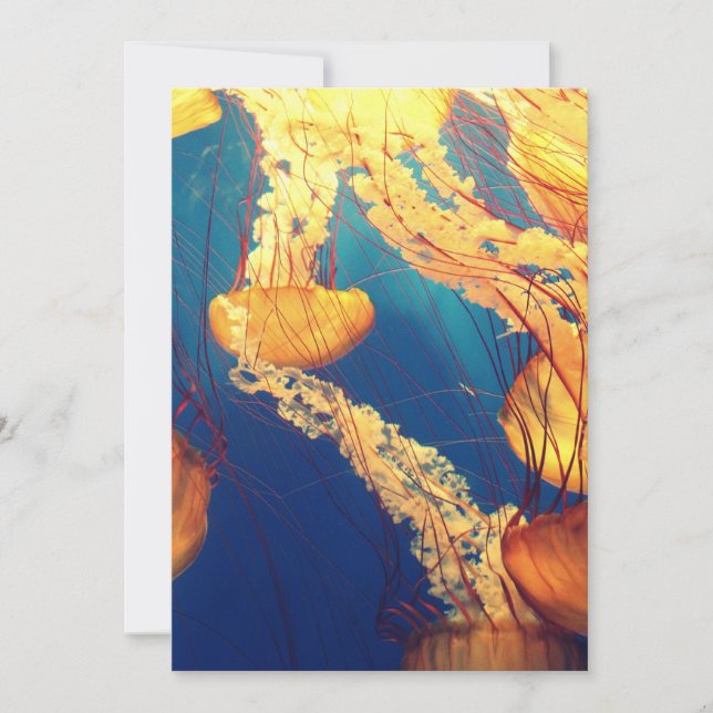 Invitation Postcard 5" x 7" (Front)