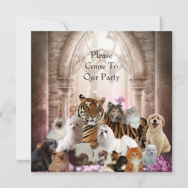 Invitation Tiger Dogs Cats Party (Front)
