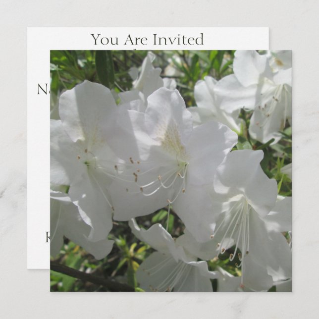 Invitation - White Azaleas (Front/Back)