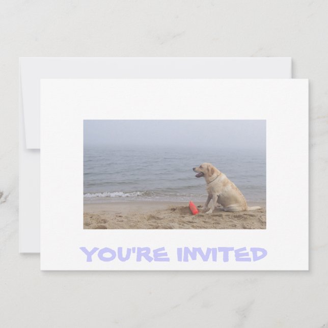 Invitation with Labrador photo (Front)