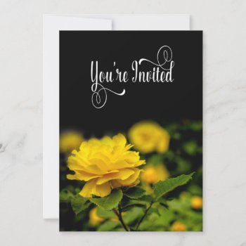 Invitation  Yellow Rose In Garden Isolated/black Invitation by TrudyWilkerson at Zazzle