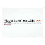 11835 Colt Street Mohlakeng   Invitations