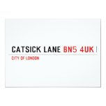 Catsick Lane  Invitations