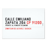 CALLE EMILIANO  ZAPATA 204  Invitations