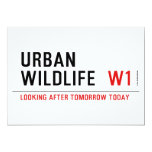 URBAN WILDLIFE   Invitations