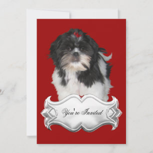 Invitations Shitzu Shih Tzu Puppy Dogs Red Black