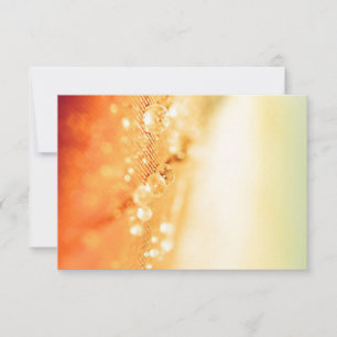 Invitations & Stationery RSVP Cards