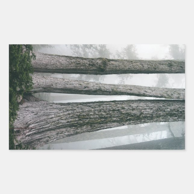 Invoking the Forest Rectangular Sticker (Front)