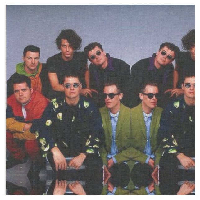 INXS Fabric (Close Up)