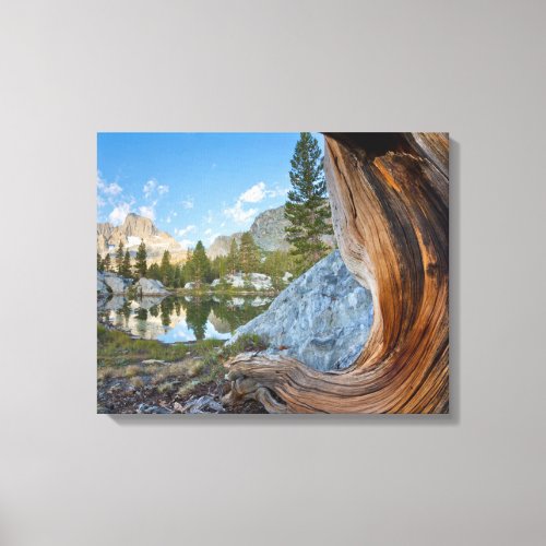 Inyo National Forest California Canvas Print