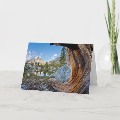 Inyo National Forest California Card