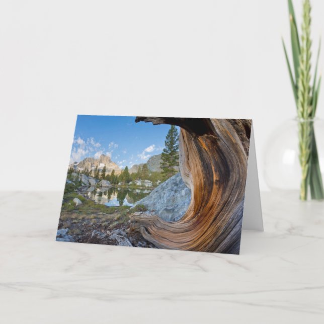 Inyo National Forest, California Card (Front)